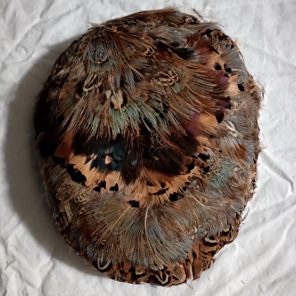 Vintage Pheasant Feather Hat Pill Box 1940's Sophisticated Charming Classy Cap - Picture 7 of 14